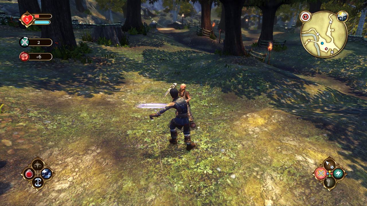 Fable: Anniversary