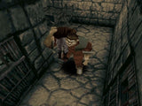 Shadowgate 64: Trials of the Four Towers