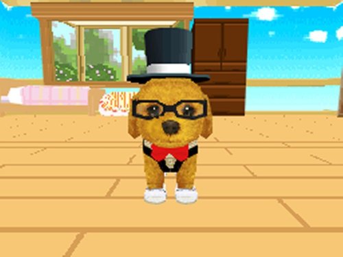 Petz: Dogz Fashion