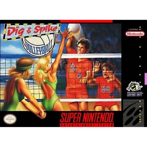 Dig and Spike Volleyball