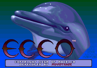 Ecco the Dolphin