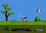 Duck Hunt [5 Screw]