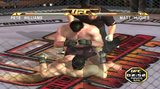 UFC: Tapout 2